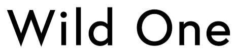 WILD ONE Banner