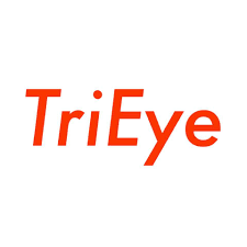 TRIEYE
 Logo